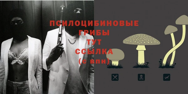 MESCALINE Аркадак