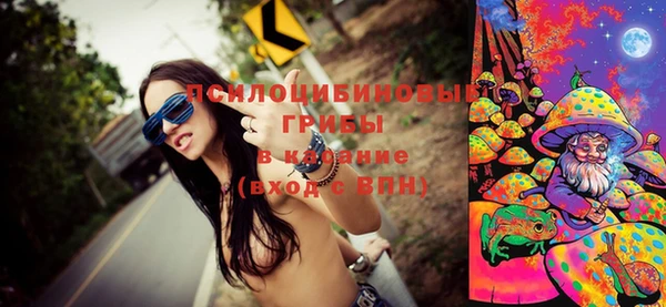 прущие крисы Арсеньев