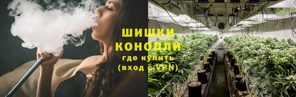 MESCALINE Аркадак